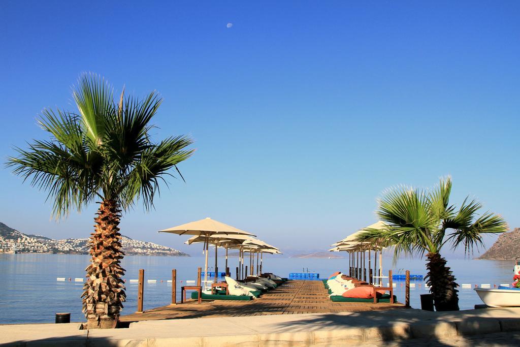 Elite Hotel Bodrum يالِكافاك المظهر الخارجي الصورة